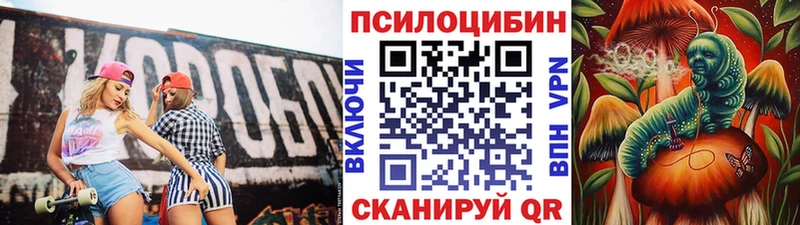 Галлюциногенные грибы Psilocybe  Купить закладки  Чебаркуль 